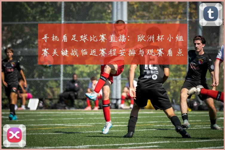 手机看足球比赛直播：欧洲杯小组赛关键战临近赛程安排与观赛看点