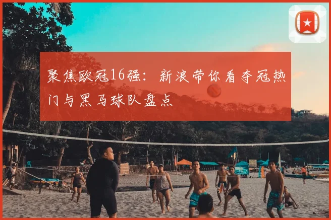 聚焦欧冠16强:新浪带你看夺冠热门与黑马球队盘点